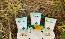 FermOgout - Yaourt Fermier Brassé aux Fruits Oranges x6