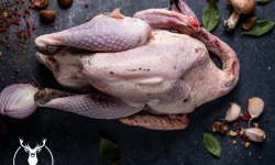 LA FERME DE COLLONGE - DINDE NOIRE FERMIERE PRET A CUIRE