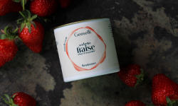 Gemelli - Gelati & Sorbetti - Sorbet fraise 12x100ml