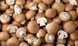 Les Jardins de Gérard - Champignon de Paris brun Bio - 250 g