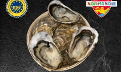 Le Termer - Huîtres de Normandie IGP N°2-48 Pièces "Saveurs de Normandie"