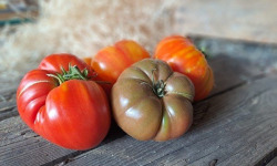 Les Jardins de Gérard - Mélange de tomates anciennes Bio - 3 kg