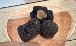 JMC Truffes - TRUFFES FRAICHES D'AUTOMNE  TUBER UNCINATUM 50 G
