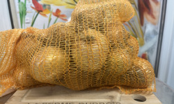 La Ferme Durbois - Oignons récolte 2025 2kg