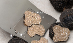 Plantin - L'art de la truffe depuis 1930 - Truffes d'été fraîches entières - 500g