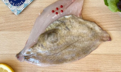 La Criée d'à Côté - Filets de Saint Pierre - Lot 400g
