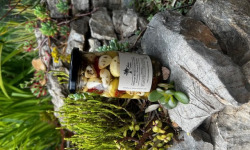 L’Oliveraie du Coudon - Mélange Méditerranéen à l’Ail, poivron, Olives et Herbes  345GR