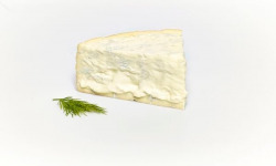 Fromage Gourmet - Gorgonzola AOP 1kg