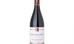 Domaine Céline Coté - Bourgogne Epineuil Les Dannots 2022