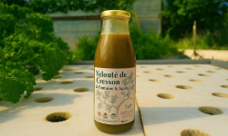 Nature et Saveurs - Ferme Aquaponique et Permacole Astérienne - Velouté de Cresson