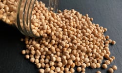 La Ferme du Joyeux Laboureur - Pois chiches en vrac 1kg