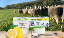 Dessine moi une brebis - Yaourt Brebis Citron 2x125g