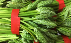 Trapon Champignons - Asperges Des Bois - 5 X 200 G