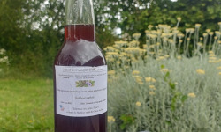 Rébecca les Jolies Fleurs - Sirop botanique d'exception