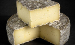 Les Affineurs des Volcans - Tomme d'Auvergne 40% L'Eleveur Occitan | Entier env. 1,3 Kg