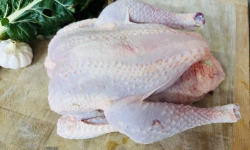 La Maison Pourthié - Chapon 5kg