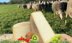 Dessine moi une brebis - Tomme de brebis 400g