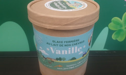 Les Pâturettes de Bodavel - Glace Vanille au lait de chèvre 4x480ml
