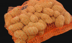 La Ferme Durbois - Pommes de terre Chérie Récolte 2025 - 5kg