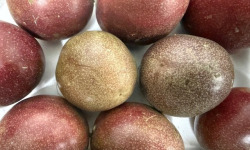 L'OLIVERAIE DU COUDON - FRUITS DE LA PASSION 1kG env (10/12pieces)