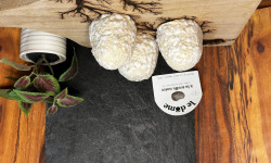 La Fermière - Dôme d’auvergne à la truffe 140Gr x2