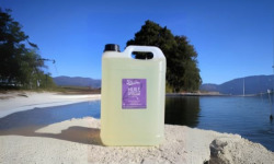 Domaine Reverchon - Huile essentielle de lavandin BIDON 3L