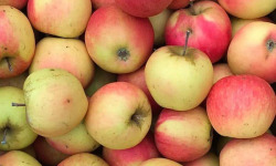 La Ferme des Prun'Elles - Pomme Jubilé