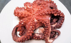 Poissonnerie La Piriacaise - Poulpe lot de 3 kilos