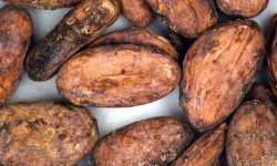 Barre Clandestine - Fèves de cacao crues - 200g