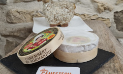 Lou Canesteou - Camembert de Normandie AOP 250g