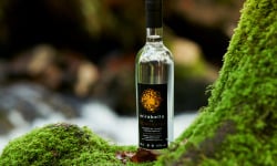 Distillerie de Rozelieures - Maison de la Mirabelle - Eau de Vie de Mirabelle - 50 cl