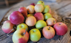 Les Jardins de Gérard - Panier panaché de pommes Bio