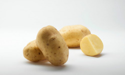 Maison Bayard - Pommes de terre Agria - 12.5kg