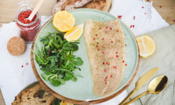 Les Viviers Cathares - Gravlax de truite bio à l'aneth et aux baies roses 120g