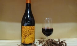 Domaine d'Auménie - Le Chant de la Terre AOC Beaujolais Prestige rouge - Elevé en jarre en terre cuite - bio - 75cl