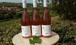 Domaine Doudeau-Leger - Sancerre Rosé AOC 2023 - 3 Bouteilles