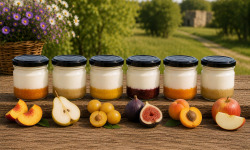 Gaec de l'Elanion - lot de 10 fromages blancs fruits verger