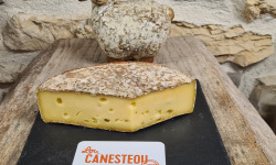 Lou Canesteou - Tome des Bauges 250g