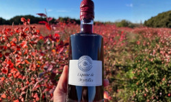 Myrtilles du Trimoulet - Liqueur de Myrtille - 37.5 cL