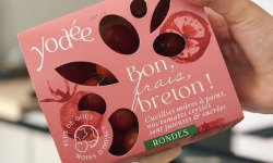 Agriloops - Tomates cerises rondes – Barquette 250 g