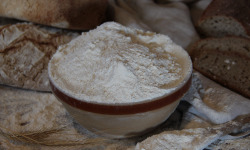 Le Verger de Crigne - Farine blé T130 bio - 1kg