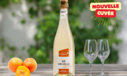 Domaine de l'Ambroisie - Pétillant Mirabelle - Apéritif Lorrain