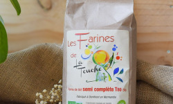 Dégustonfoin - Farine de blé semi complète T80 - Les farines de la Touche