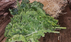 Les Jardins de Gérard - Chou Kale vert Bio - 500 g