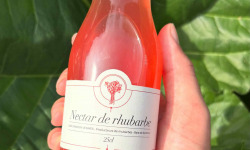 Maison Vermes - Producteurs de Rhubarbes - Lot de 20 bouteilles de Nectar de rhubarbe en 25cl