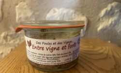 Des Poules et des Vignes à Bourgueil - Entre vignes et forêt