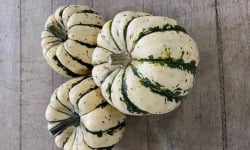 Langevine - Courge Patidou 1kg BIO