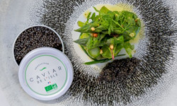 Caviar de l'Isle - Caviar Baeri Bio Français 100g - Caviar de l'Isle