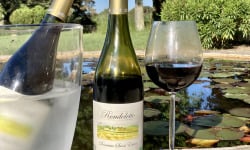 Château Saint Estève d'Uchaux - RONDOLETTO - Rouge léger 13° AOP Côtes du Rhône BIO x6