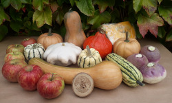 Ferme de Cernunnos - Panier de fruits et légumes d'automne